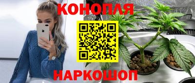 СК Гусь-Хрустальный