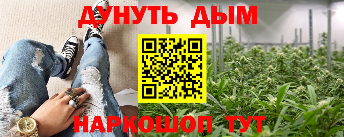 Конопля SATIVA & INDICA  Вход с VPN  Киреевск  МАРИХУАНА семена  Конопля AK-47 